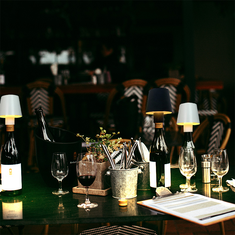 โคมไฟขวดไวน์คริสต์มาสแบบชาร์จไ - Wine & Beer Hydrometer บทวิจารณ์และราคา